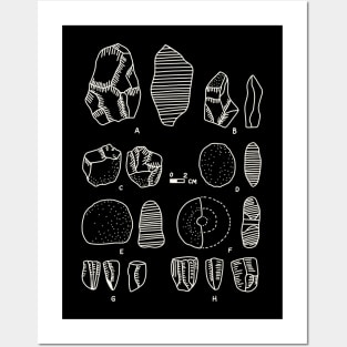 Archeology Stone Collection - Paleontology and Anthropology Posters and Art